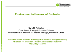 P10 Environmental Issues of Biofuels – U. Fritsche