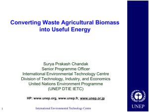 Converting Waste Agricultural Biomass into Useful Energy