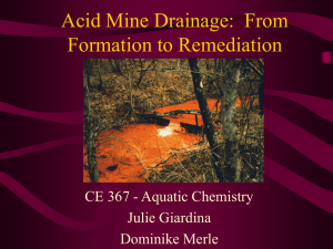 Acid Mine Drainage. Yeah. - Civil & Environmental Engineering