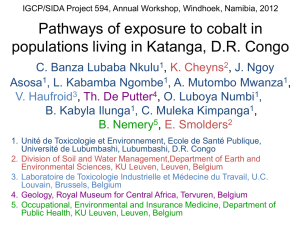 Presentation Banza et. al. Pathways of exposure to cobalt in