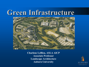 Green Infrastructure - Georgia Planning Association