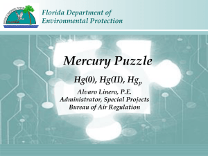 Mercury Rule Making Project - Florida Department of Environmental