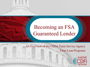 FSA Guaranteed Loan Program