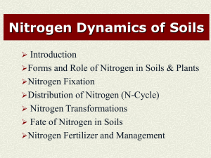 Nitrogen Dynamics of Soils