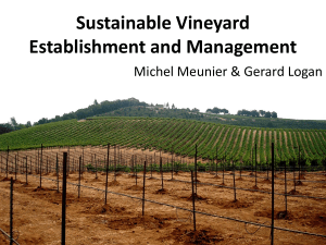 Sustainable Vineyard Establishment and Management