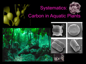 Aquatic plants have complex