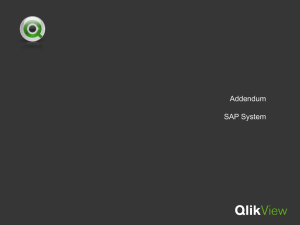 Addendum SAP System