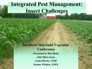 Integrated Pest Management: Insect Challenges