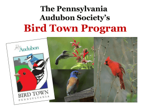 PA Bird Town Goals - New Britain Borough