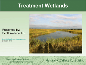 Engineered Wetlands and Applications