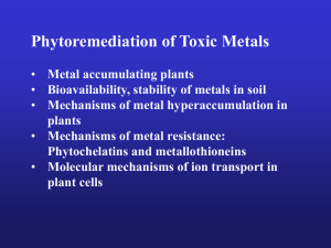 Mechanisms of metal accumulation and resistance in plants
