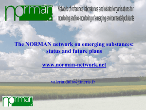 NORMAN network