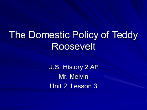 The Domestic Policy of Teddy Roosevelt