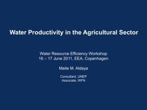 Aldaya Water Efficiency Workshop_June 2010
