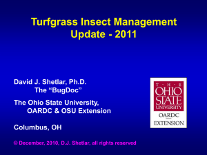 Turfgrass Insect Update - The Ohio State University