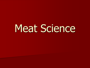 Meat Science Unit Notes