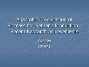 Anaerobic Co-digestion of Biomass for Methane Production