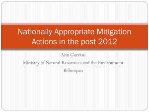 Nationally Appropriate Mitigation Actions - ACP