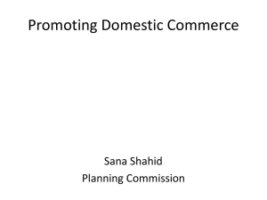 Promoting Domestic Commerce - Ministry Of Planning, Development