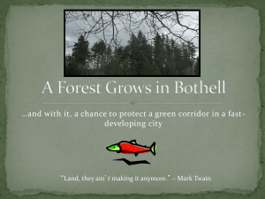A Forest Grows in Bothell - Friends of North Creek Forest