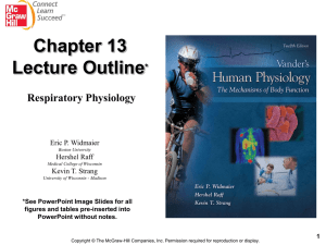 Chapter 13 Respiratory Physiology
