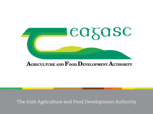 Model based economic analysis of Irish agriculture using CSO Data