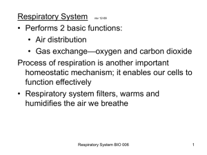 Respiratory System