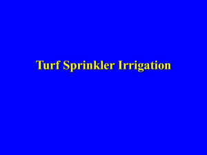 Turf Sprinkler Installation