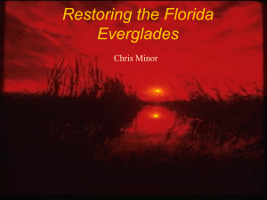 16. Everglades