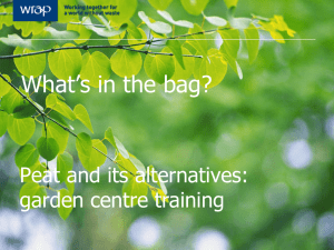 What`s in the bag? training presentation