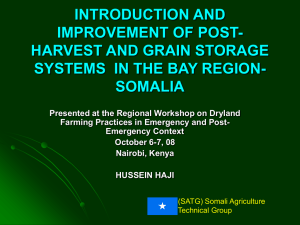 SATG-Presentation on grain storage
