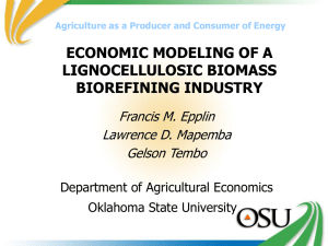 economic modeling of a lignocellulosic biomass