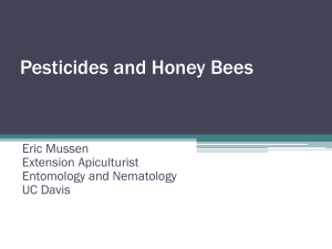 Pesticides and Honey Bees