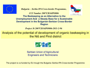 SWOT anaylis of organic beekeeping in Nis and Pirot District