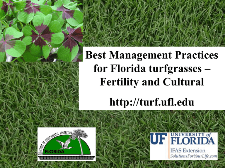 turf-boot-camp-uf-ifas-extension-alachua-county