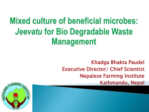 Mixed culture of beneficial microbes: Jeevatu for Bio Degradable