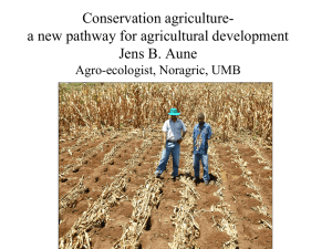 Principles of conservation agriculture
