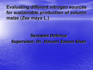 nabeel ahmad ikram,Evaluating different nitrogen sources for