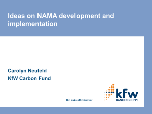 Ideas on NAMA development and implementation by Carolyn