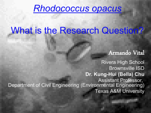 Rhodococcus opacus - Engineering Student Services and Academic