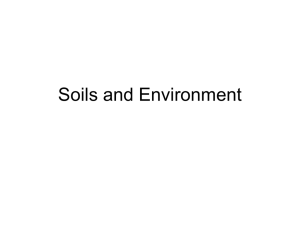 Weathering and Soils - Information Technology