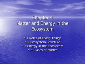 Chapter 4 Matter and Energy in the Ecosystem