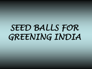 SEED BALLS FOR GREENING INDIA