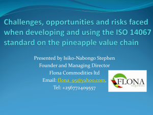 stephen-flona-presentation-challenges-opportunities-and