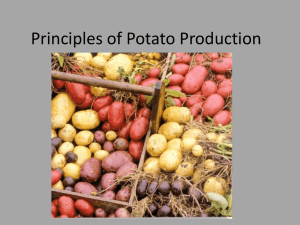 Principles of Potato Production