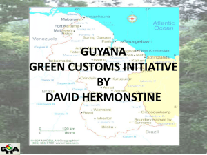 Green Customs Initiative David Hermonstine