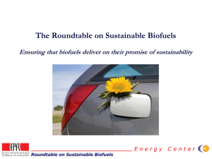 Roundtable on Sustainable Biofuels - 5th World Water Forum Content