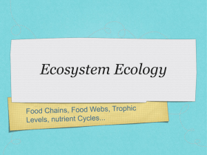 Ecosystems - BioGleich