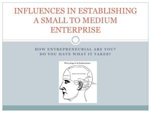 2 influences in establishing a small to medium enterprise 3.1.11