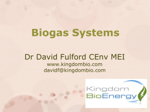 Biogas in developing countries